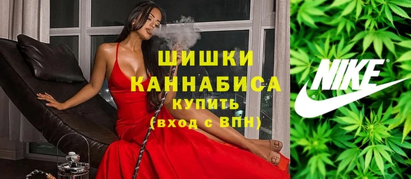 ПСИЛОЦИБИНОВЫЕ ГРИБЫ Аркадак