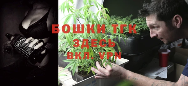 ПСИЛОЦИБИНОВЫЕ ГРИБЫ Аркадак