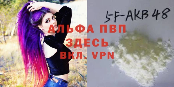 дживик Арсеньев