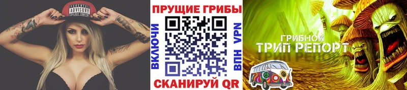 Псилоцибиновые грибы мицелий  Купить  Ковдор 