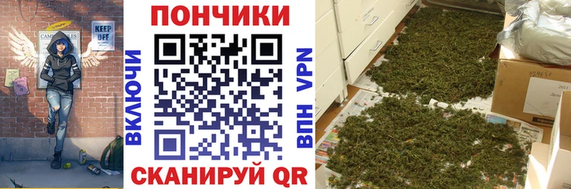 Купить где  Ковдор  МАРИХУАНА Amnesia 